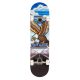 Tony Hawk 180 Series 7.75" Skateboard - Outrun